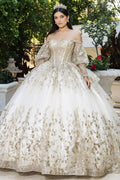 LK261-20_Champagne_4900268