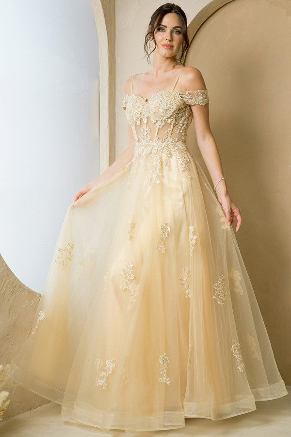 285-270-4X_Champagne_4904644