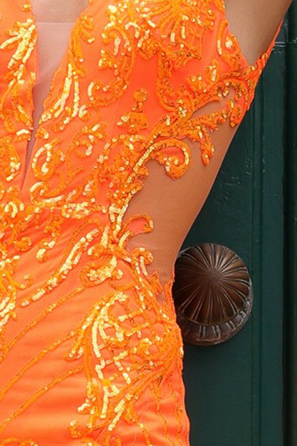D1355_Orange_4890408