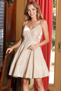 141-009_Champagne_4871948