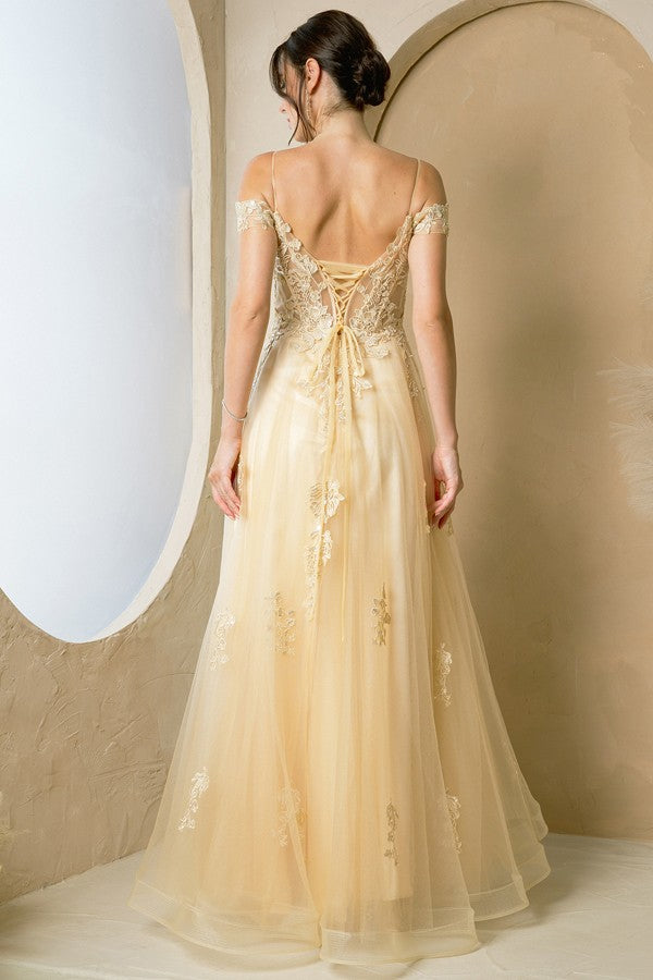 285-270-4X_Champagne_4904645