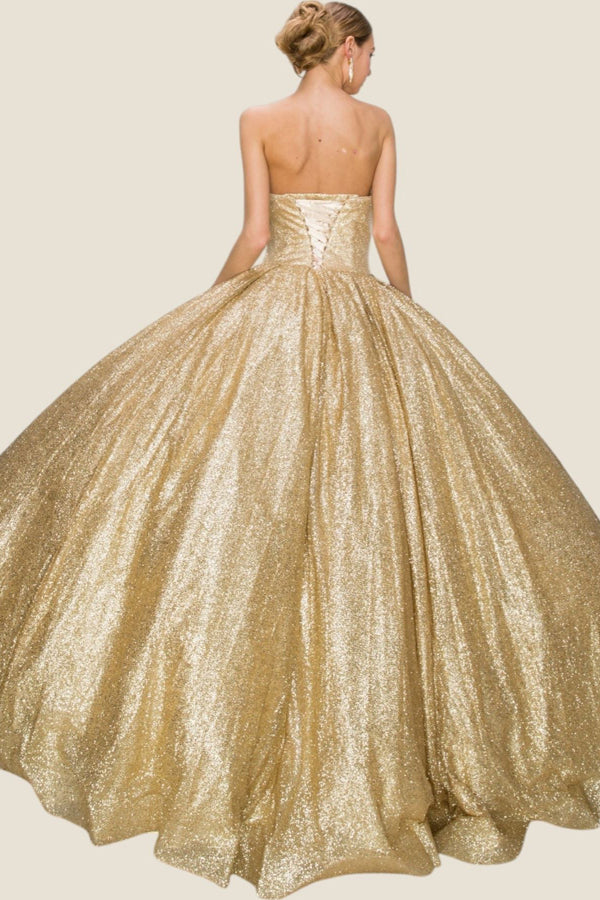 478010-Q_Champagne_4830125