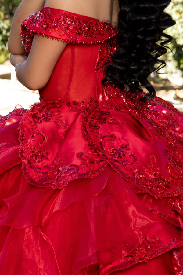 LK300-20-Q_Red_5495773
