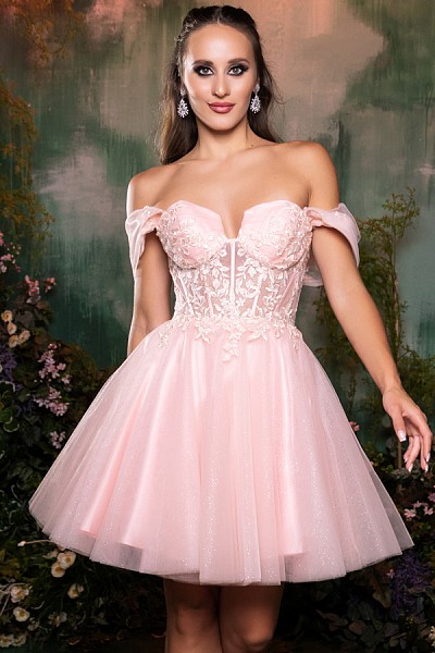 Off Shoulder Bustier Corset Top Coc...