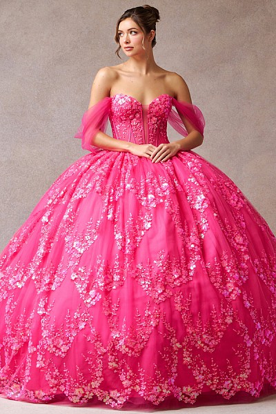 Off Shoulder Mesh Sleeve Quinceaner...