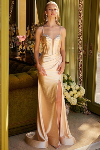Sleeveless Plunging Neckline Bead T...