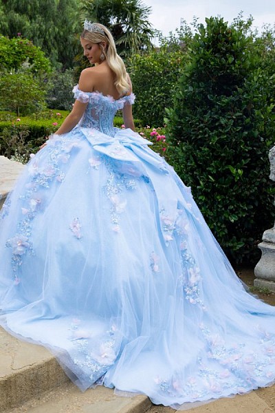 Off Shoulder 3D Applique Quince Bal...