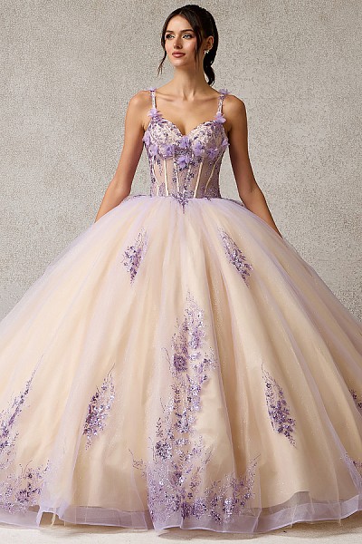 Sleeveless Sweetheart 3D Applique Q...