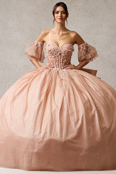 Glittering Quinceanera Gown w/ Deta...