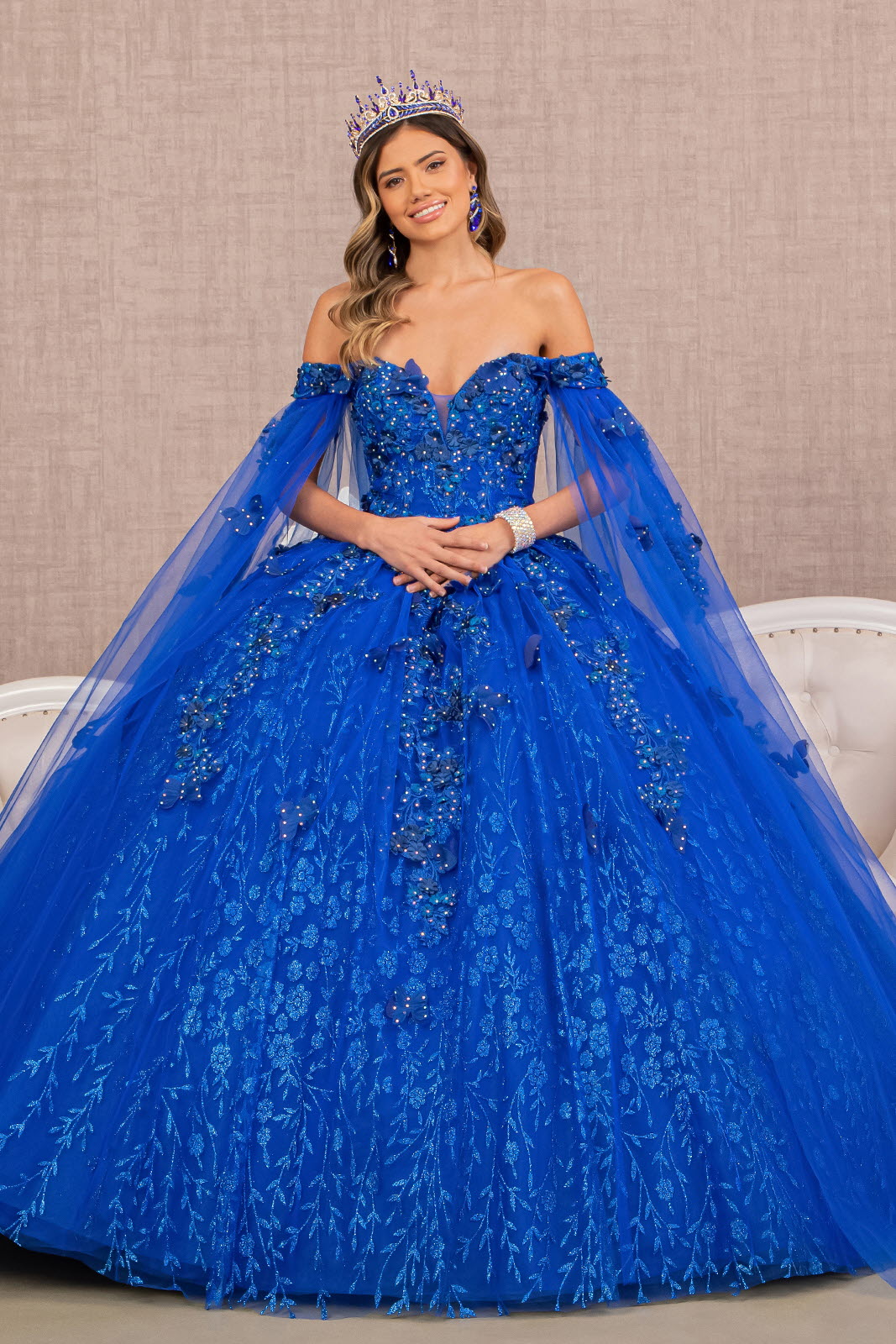 Embroidery Glitter Quinceanera Gown 