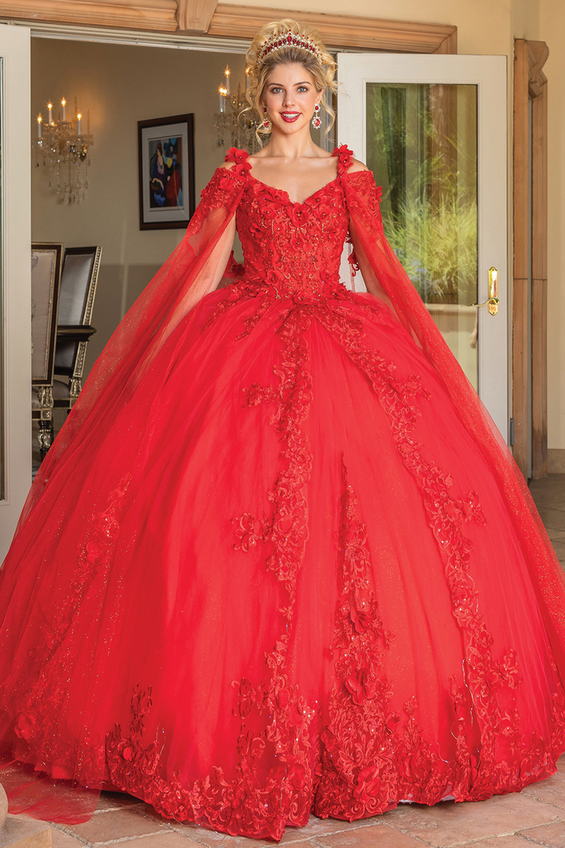 3D Applique Embroidery Quinceanera Gown