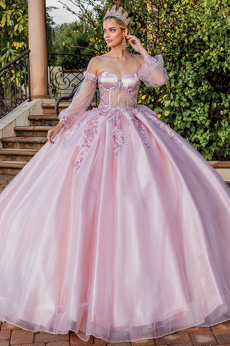 Sweetheart Boned Top Embroidered Ball Gown