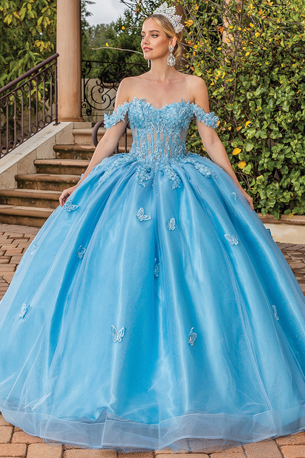 Embroidered 3D Butterfly Quinceanera Dress