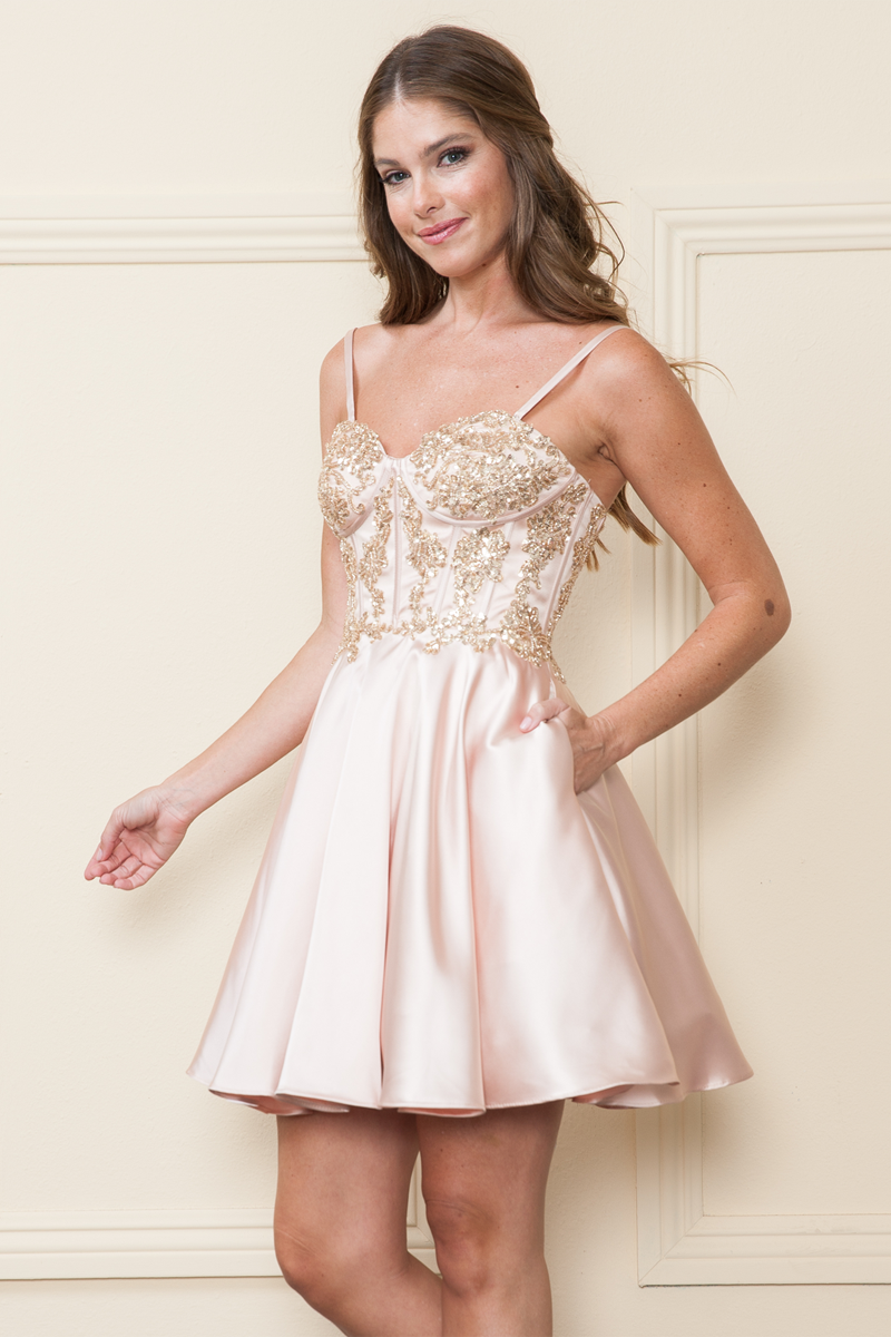 Embroidered Sweetheart Illusion Top Dress