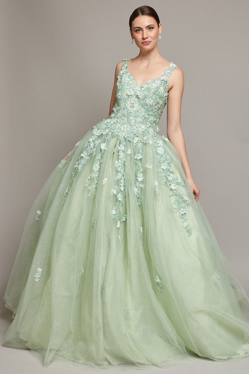 Floral Embroidered Sweetheart Tulle Ball Gown