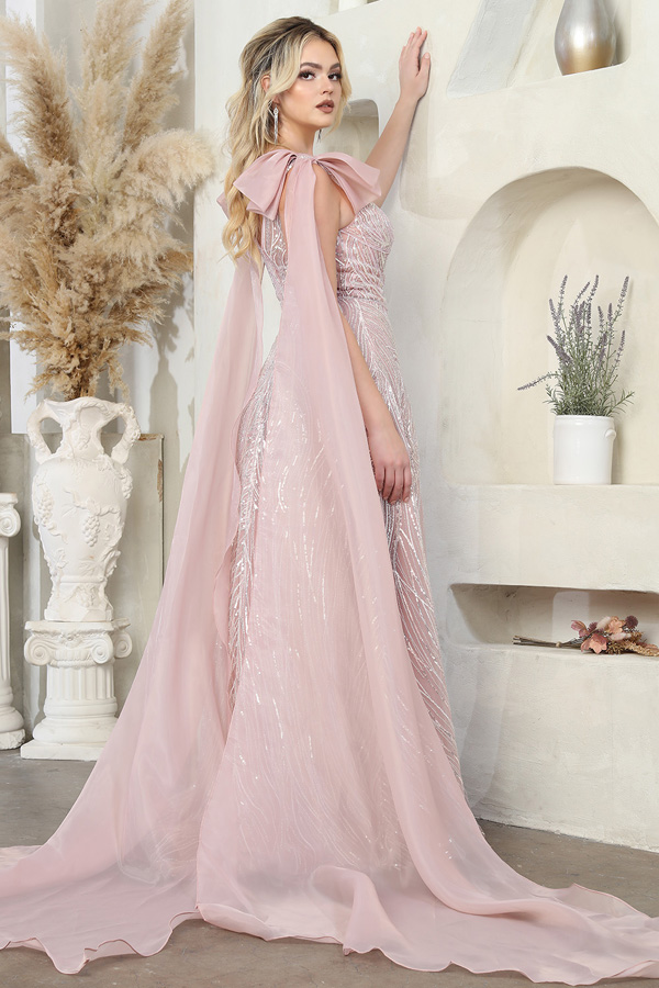 Mesh Cape Sleeve A Line Glitter/Sequin Dress
