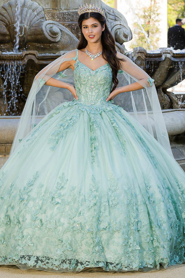 3D Butterfly Applique Sweetheart Quinceanera Ball Gown