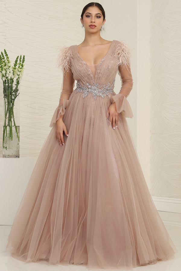 Sheer Long Sleeve Feather Applique A Line Ball Gown