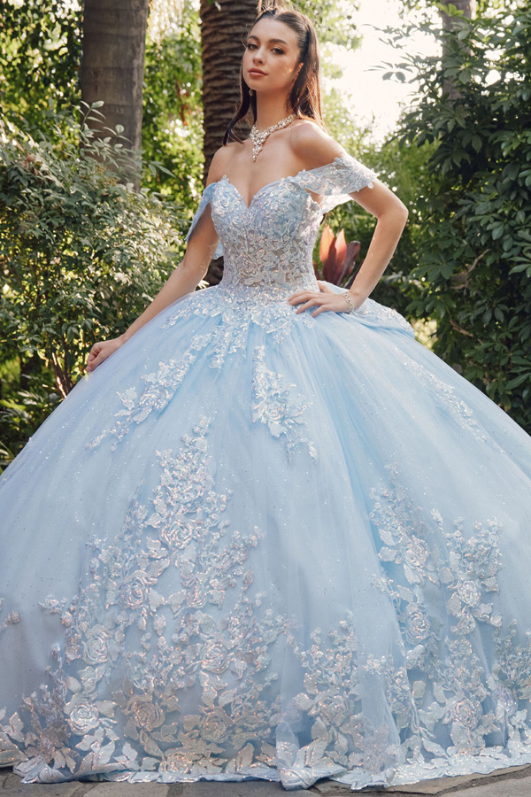 Off Shoulder Embroidery/Lace  Applique Quince Ball Gown