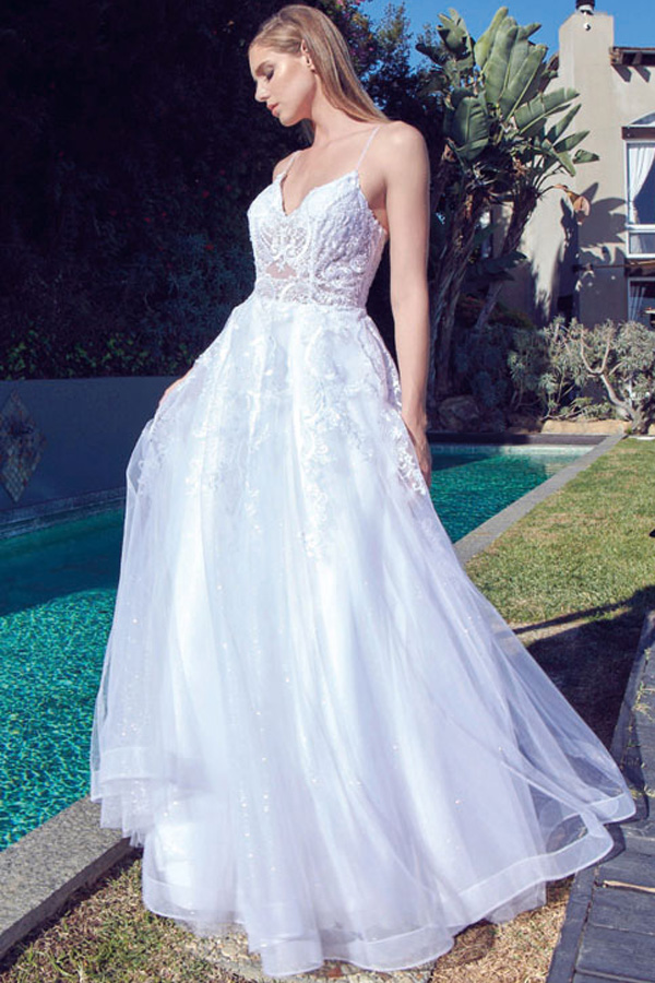 Sleeveless Illusion V Neckline A Line Wedding Gown