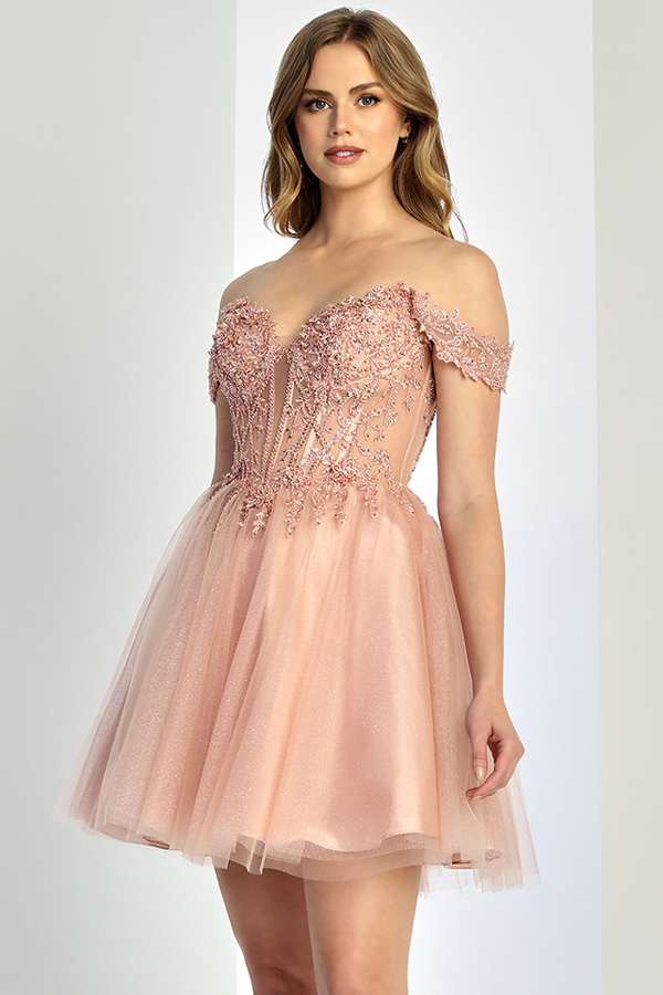 Off Shoulder Laced Illusion Top Cocktail Dress