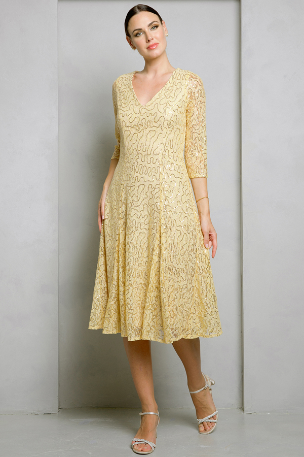 V Neckline 3 Quarter Sleeve Lace Sequin Dress