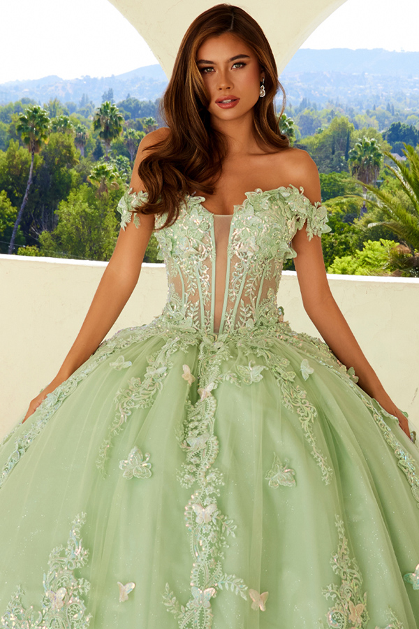 Off Shoulder 3D Applique Quinceanera Ball Gown