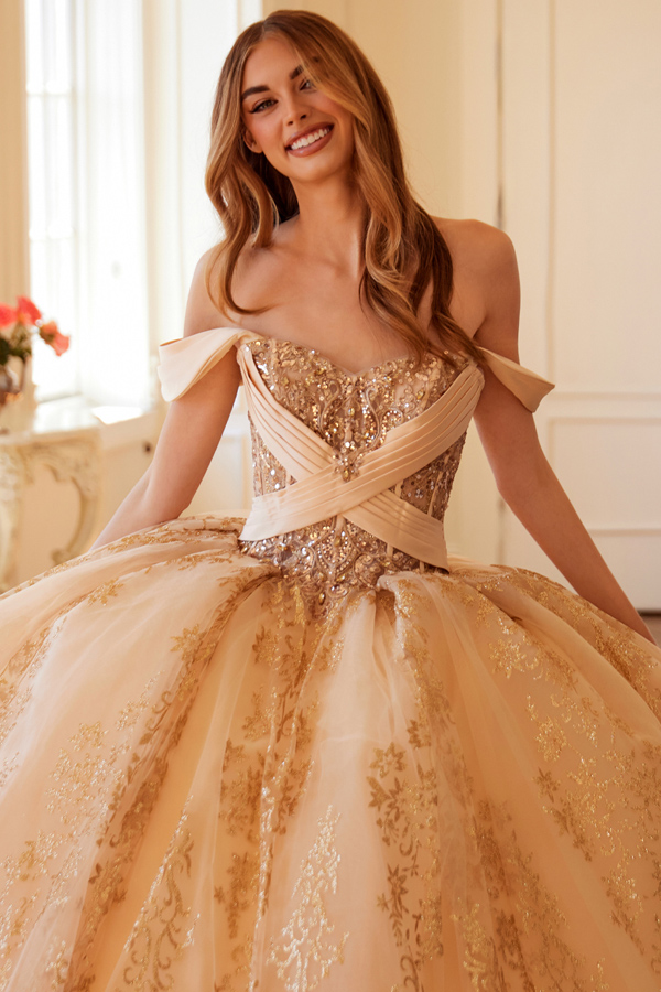 Off Shoulder Embroidery Glitter Quinceanera Dress