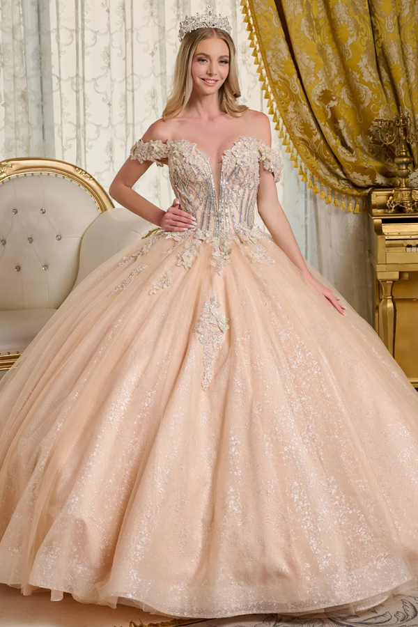 3D Butterfly Applique Quinceanea Dress