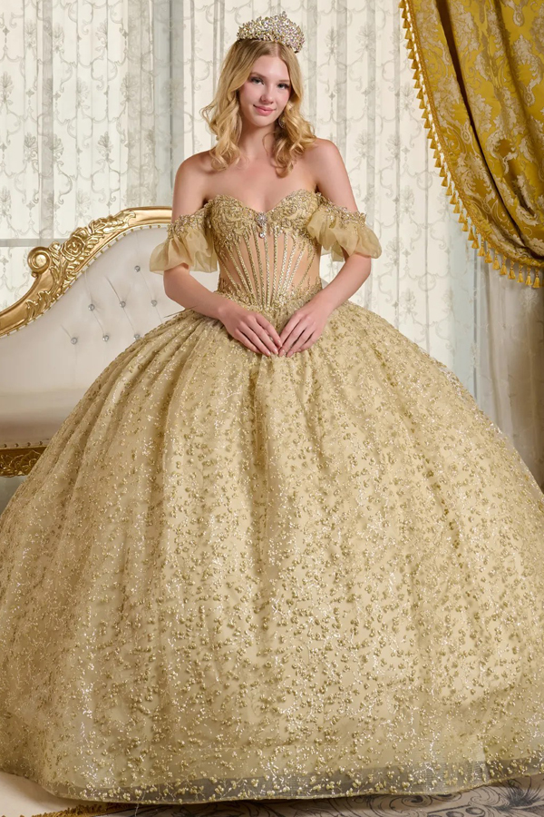 Strapless Off Shoulder Bubble Sleeve Quince Dress