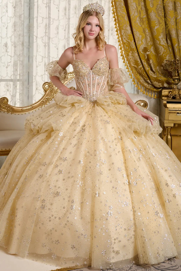 Embellished Sheer Corset Top Ball Gown