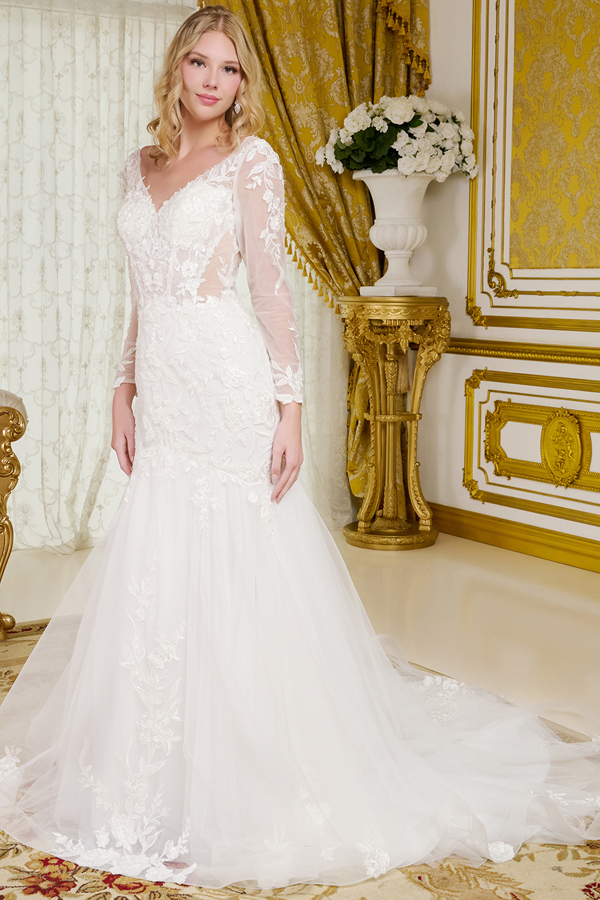 Wide V Neck Sheer Long Sleeve A Line Wedding Dress