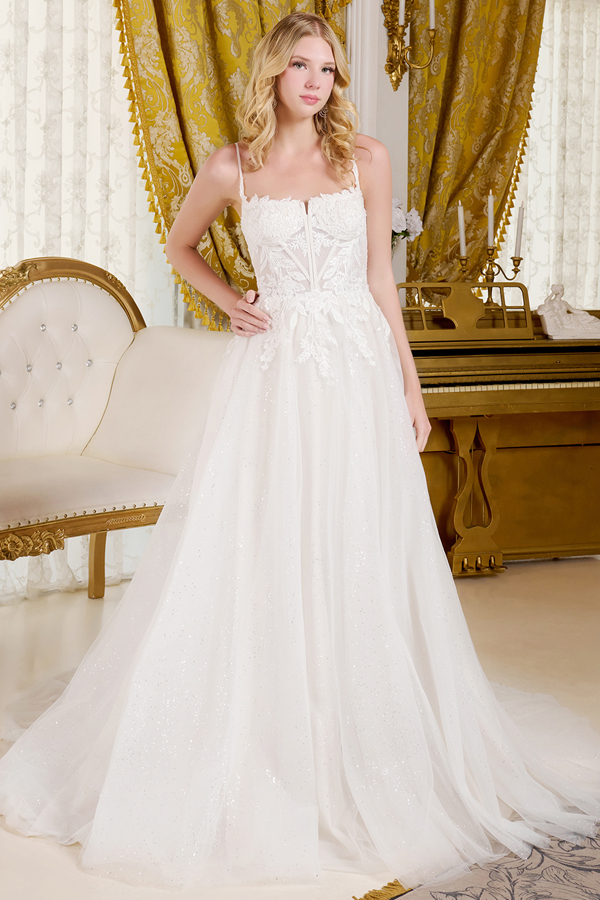 Spaghetti Straps Bateau Neck A Line Wedding Gown