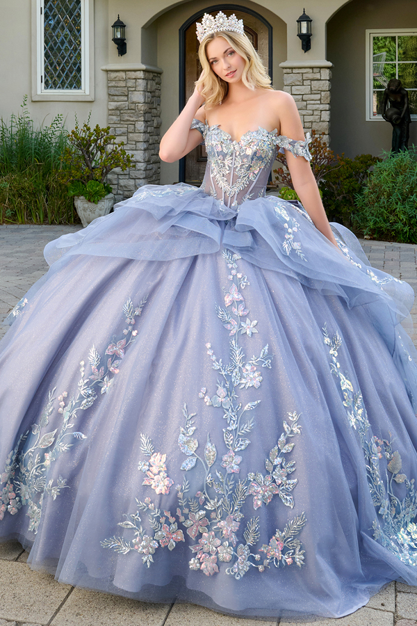 Butterfly Applique Illusion Top Quince Ball Gown