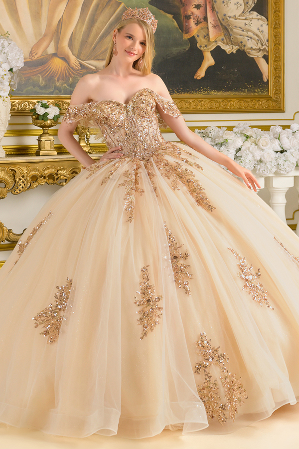 V Neck Corset Top Quince Ball Gown