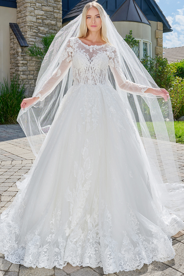 Sheer Long Sleeve Scoop Neck A Line Wedding Gown