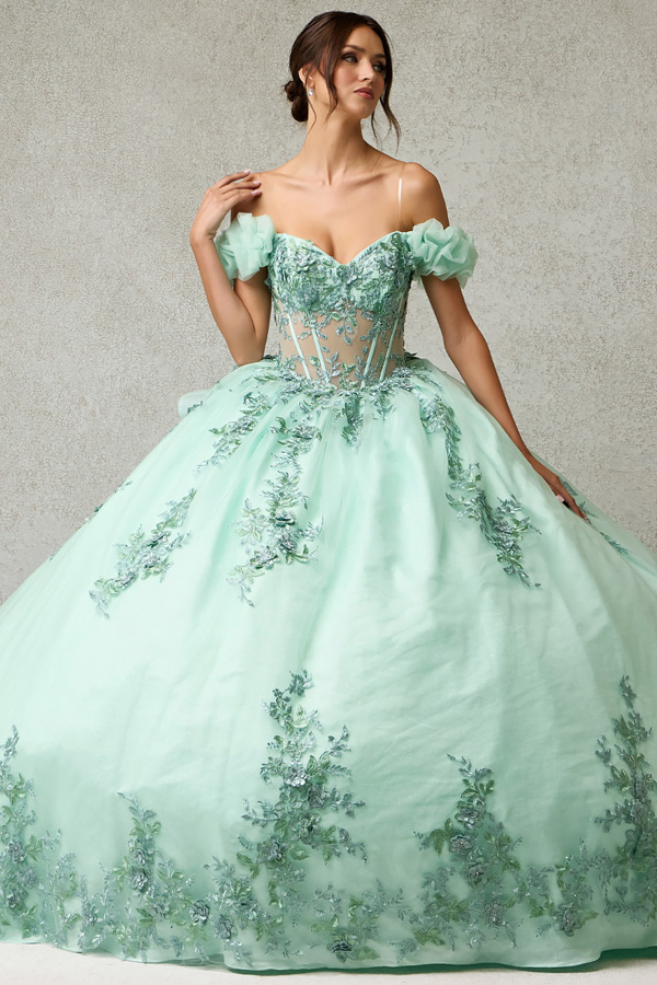 Quinceanara Ballgown w. Off Shoulder Puff Sleeve