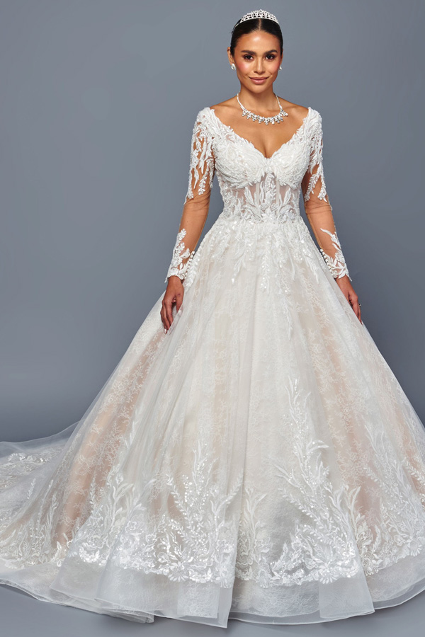 Sheer Long Sleeve Plunging V Neck A Line Bridal Gown