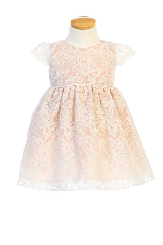 Classic Floral Embroidered Organza Baby Dress