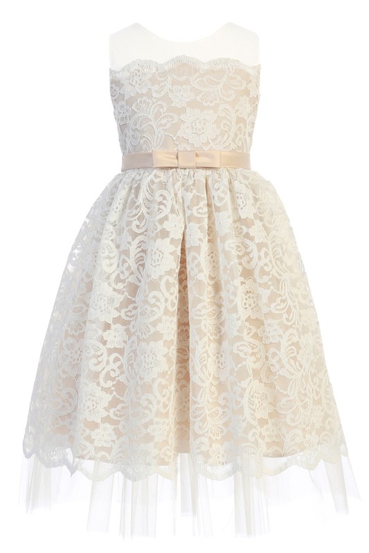 Scalloped Lace with Peek A Boo Tulle Dress