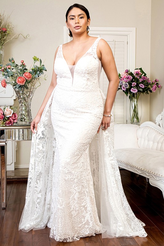 Illusion V Neck Sheer Top Bridal Gown