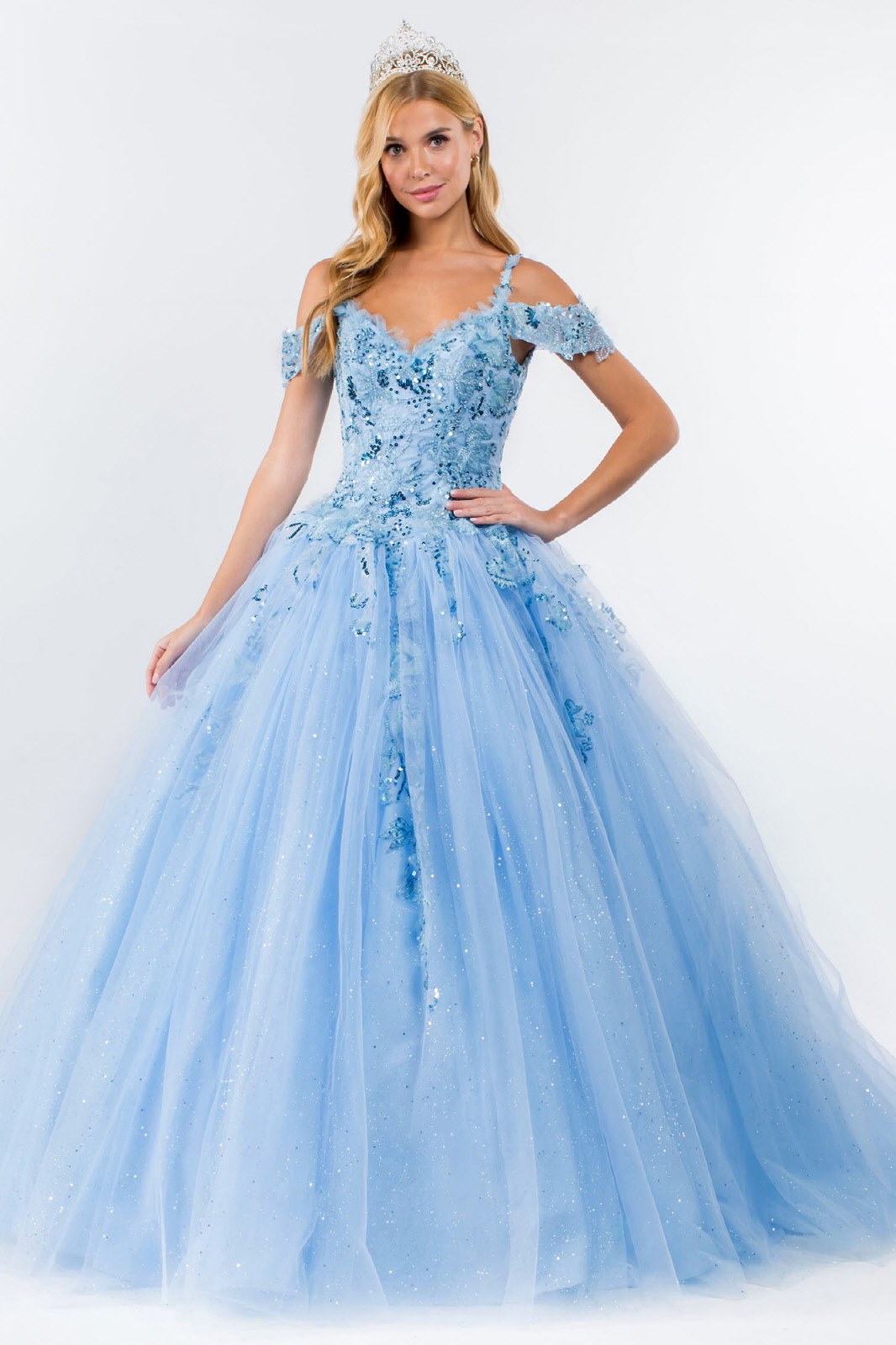 Embroidery Glitter Mesh Quinceanera Ballgown